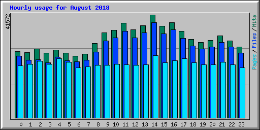 Hourly usage for August 2018